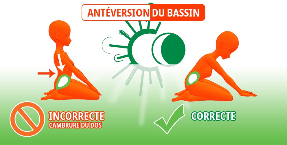 Antéversion du bassin -  Tous droits réservés
