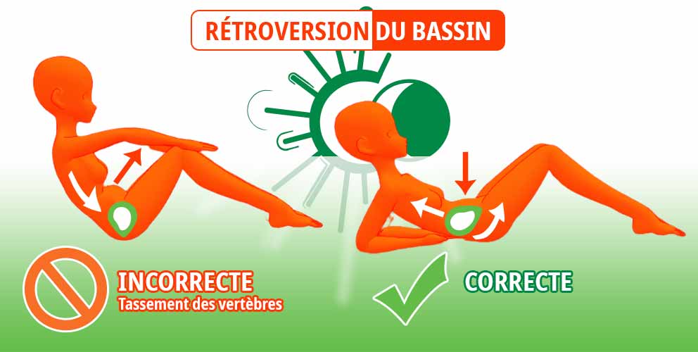 Rétroversion du bassin -  Tous droits réservés